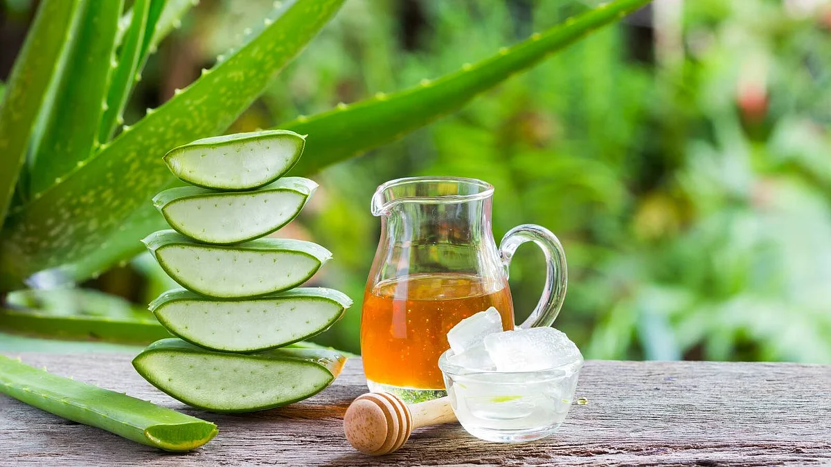 Aloe vera to burn belly fat