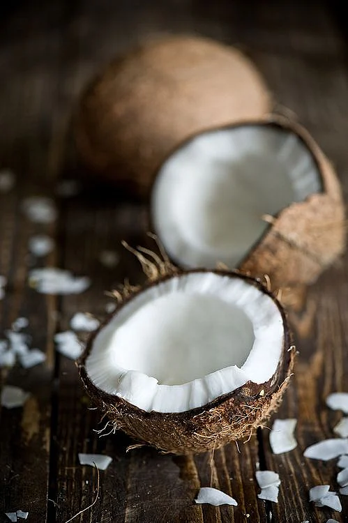 Coconut
