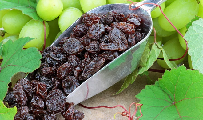 Black Raisins 9