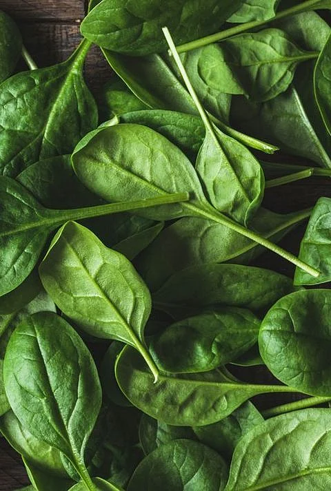 spinach. 5