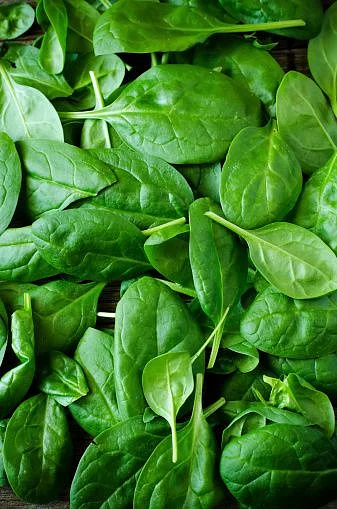 spinach. 7