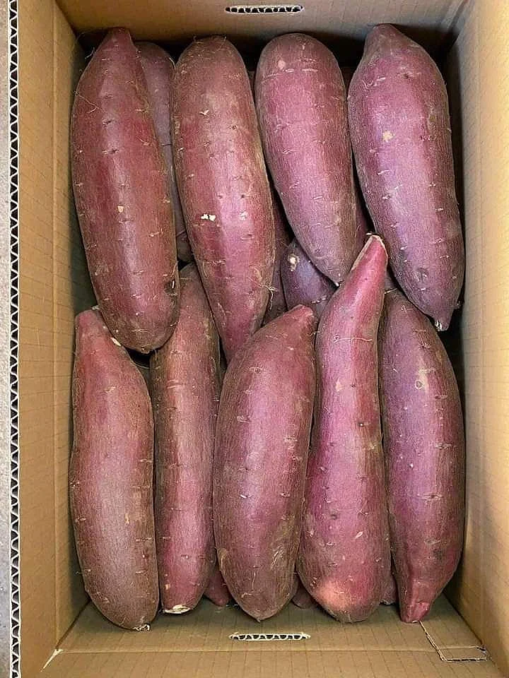 Sweet Potato 2