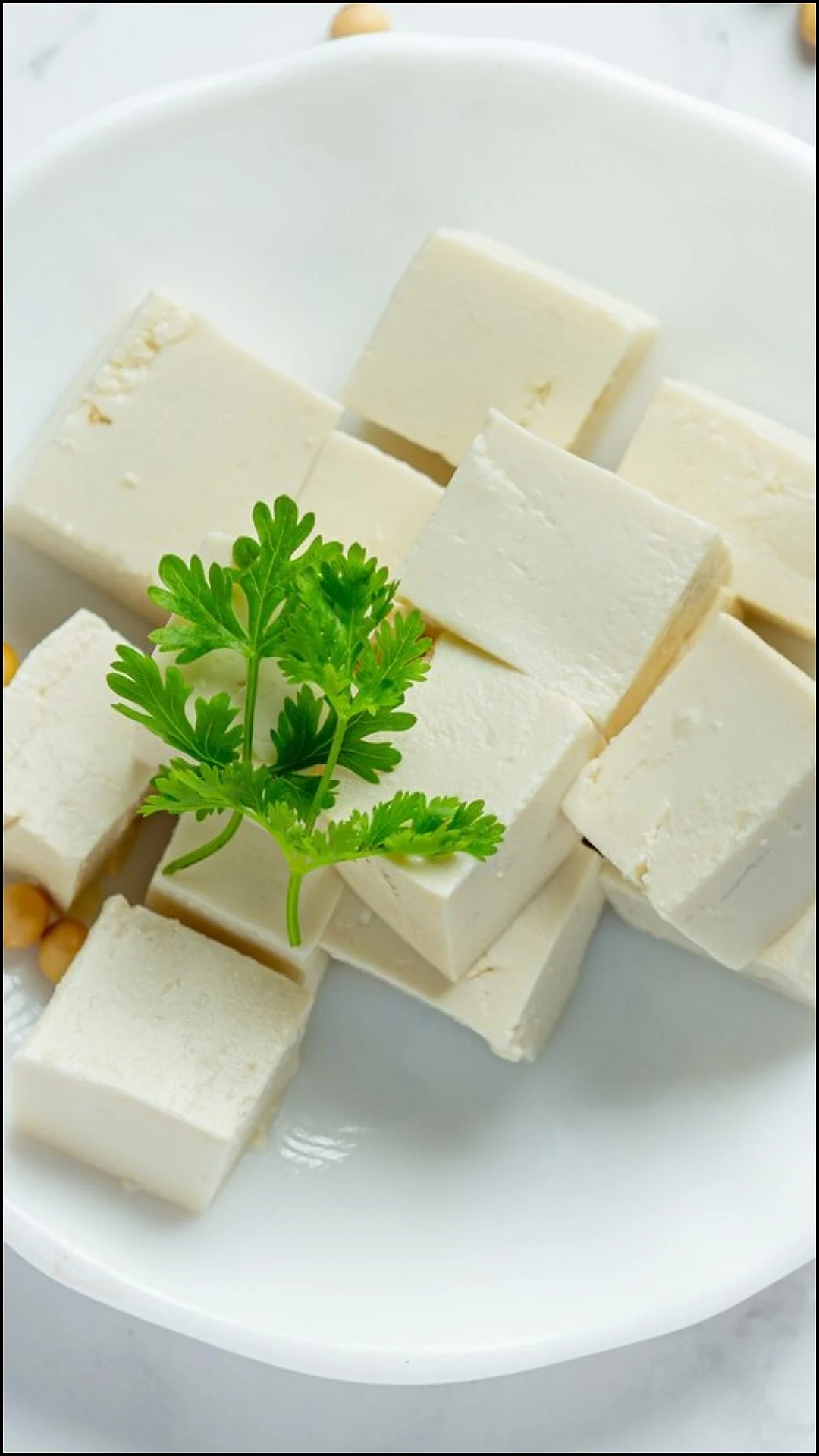 Tofu