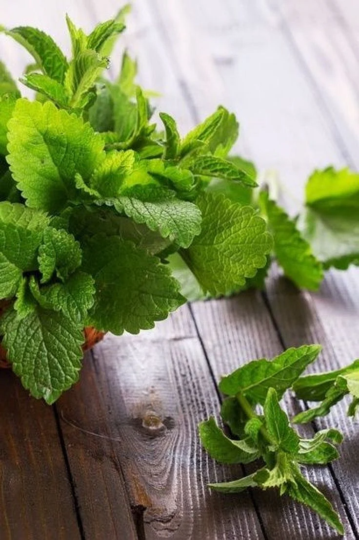 mint. 1