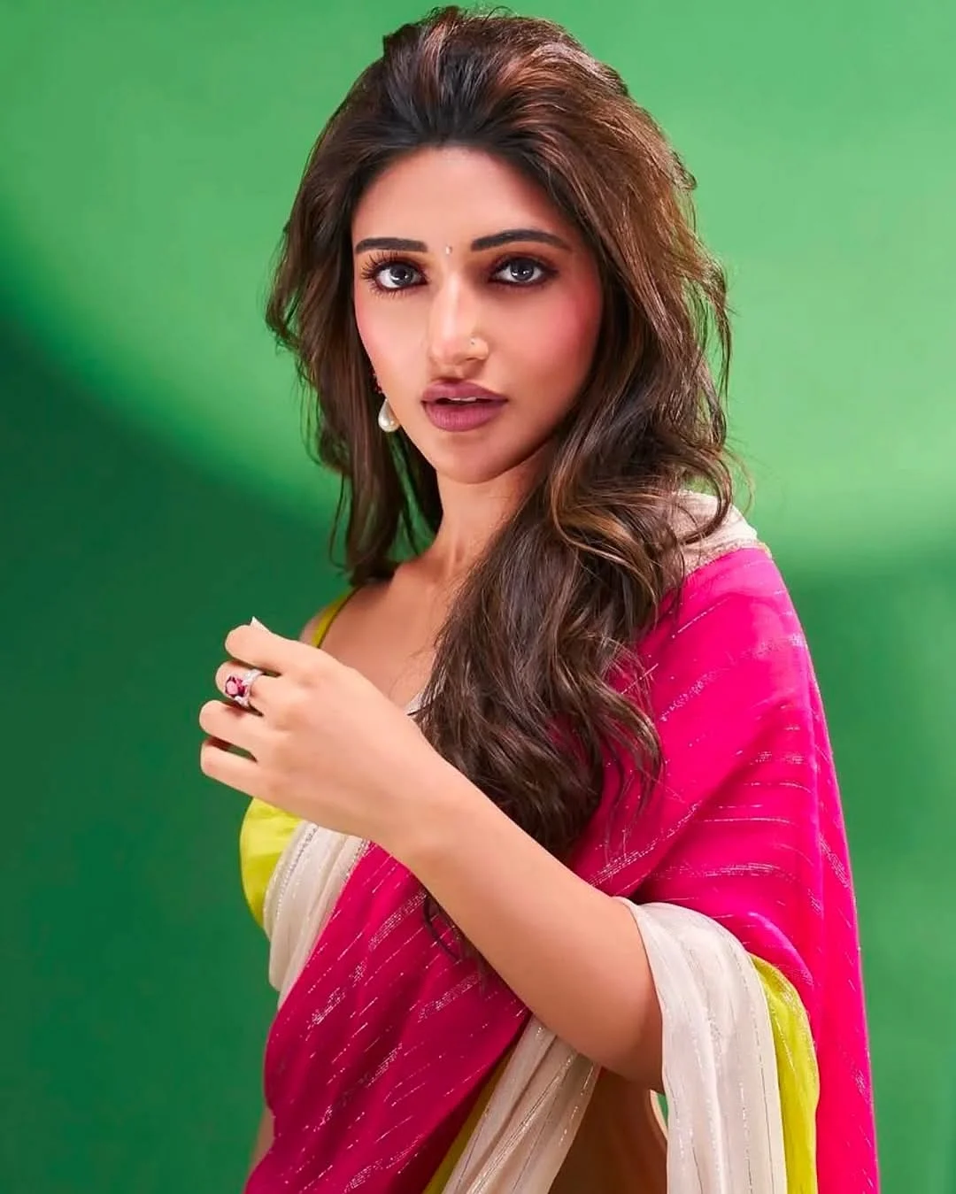 Sreeleela saree