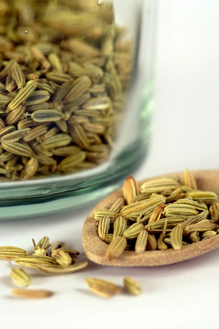 fennel. 7