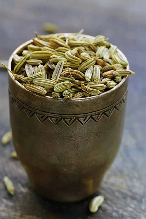 fennel