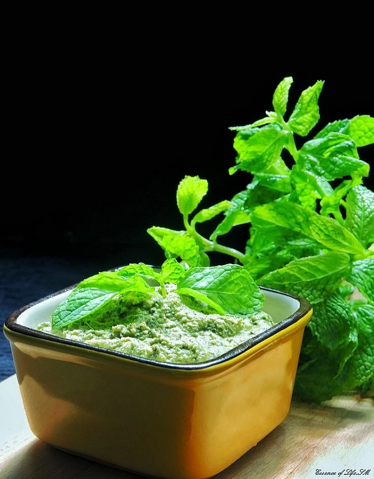 Mint chutney. 8