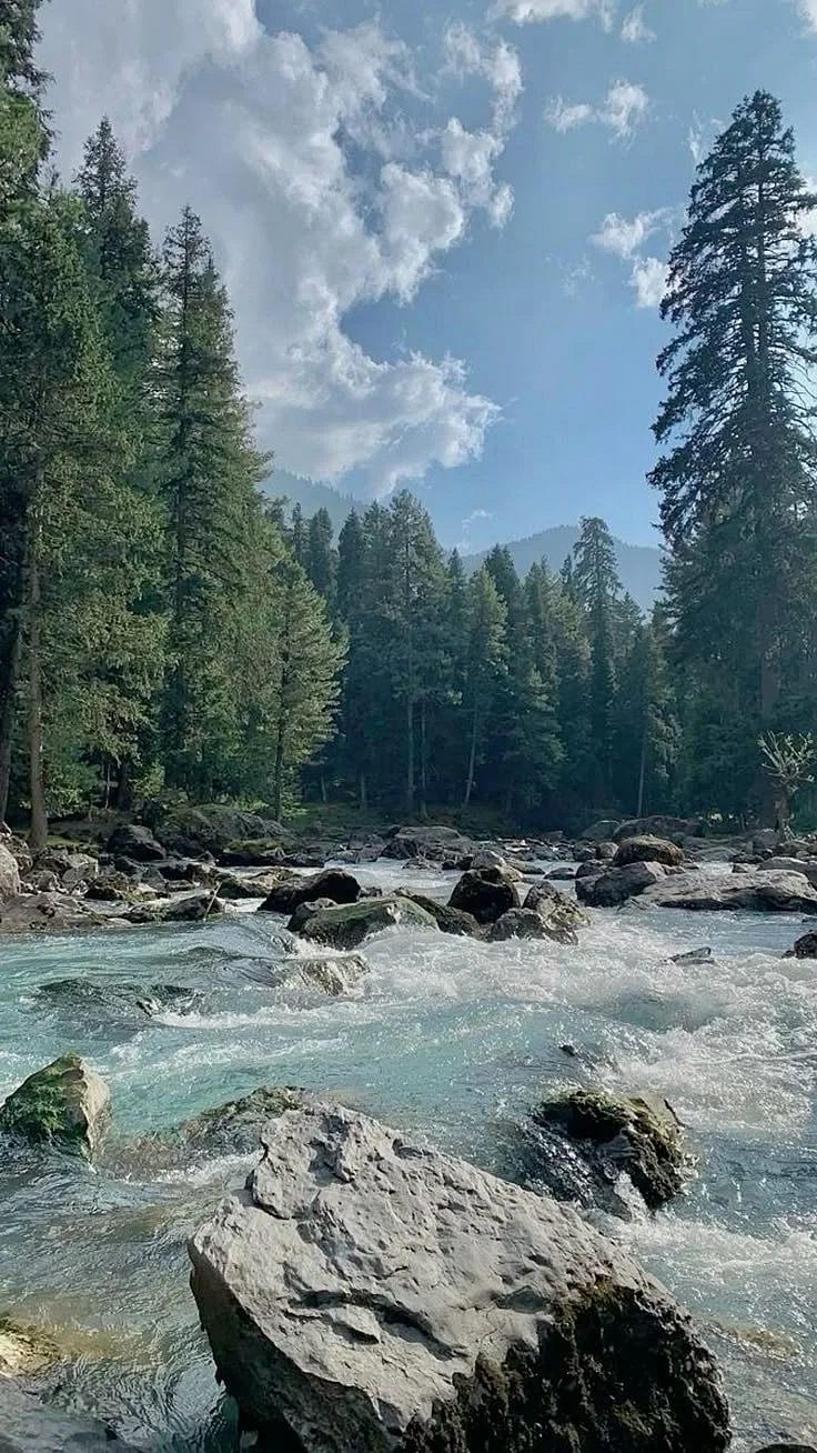 Dehradun ❤️