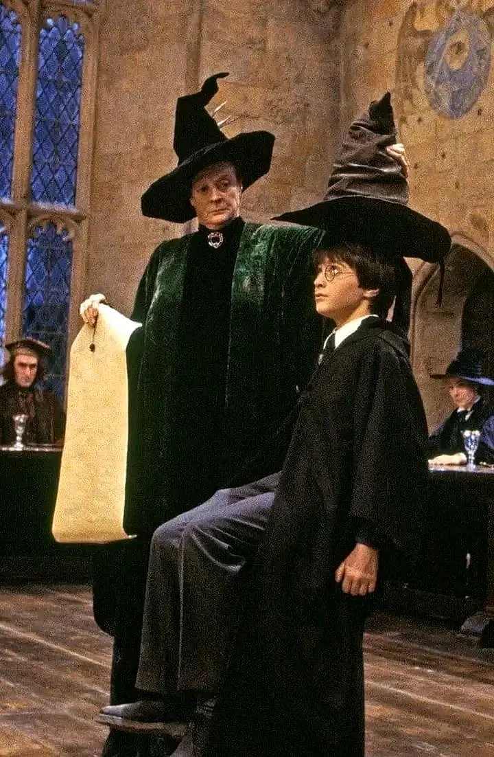 Harry Potter mirva