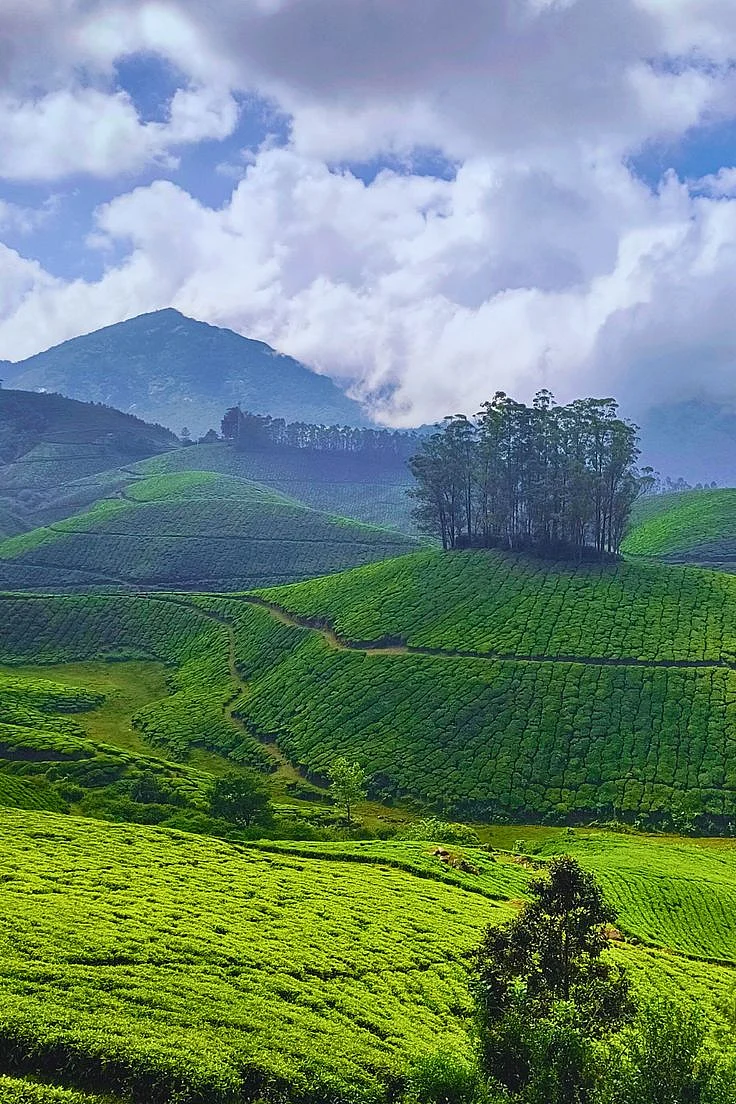 Photo Point in Munnar Idukki Kerala