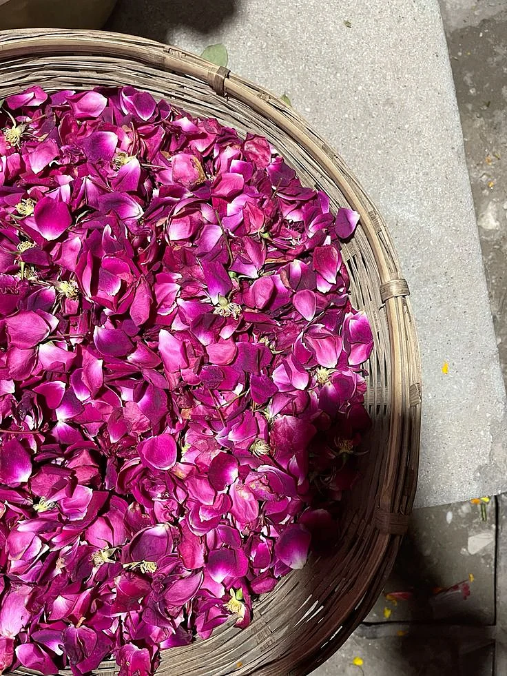 rose petals. 5