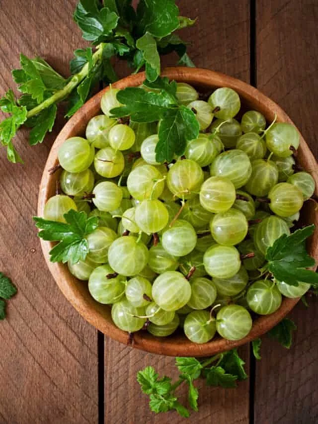 gooseberry. 5