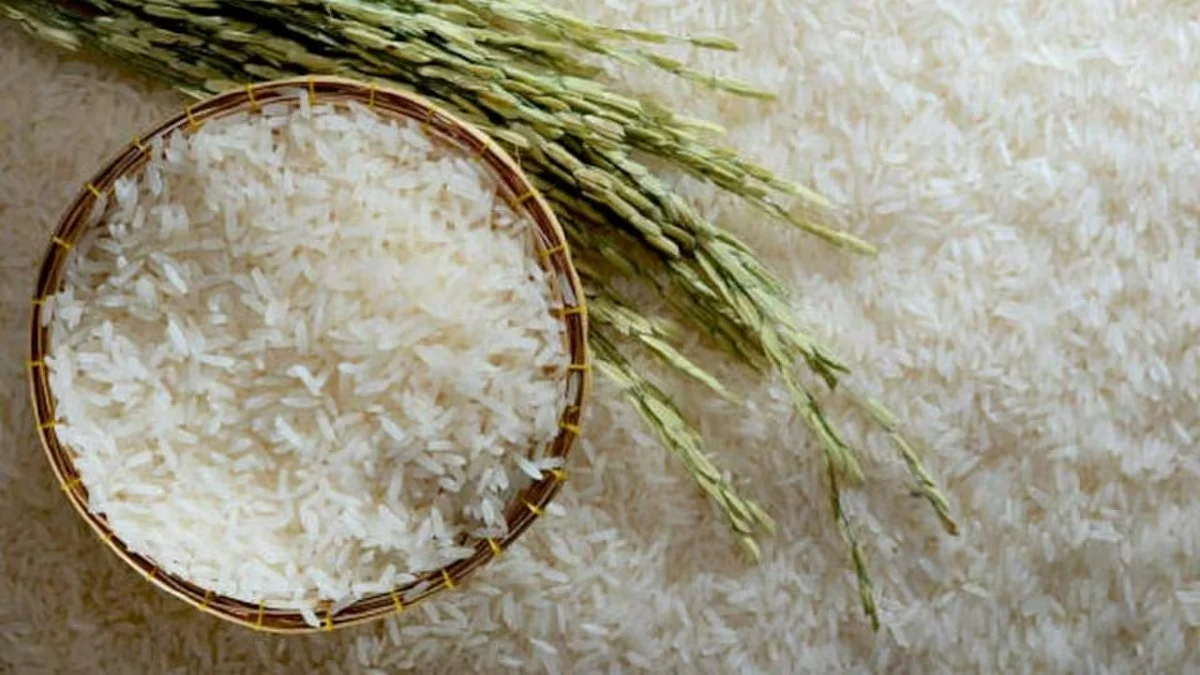 rice0