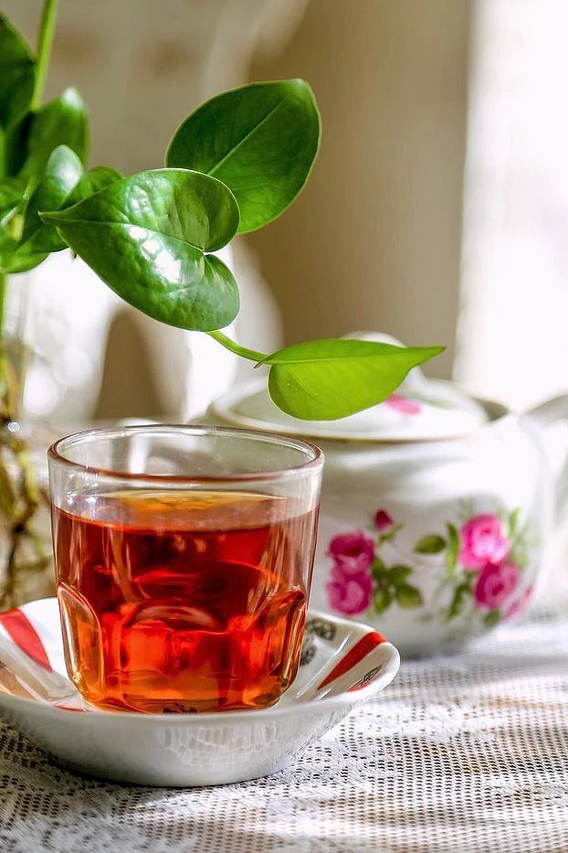 Black Tea 7