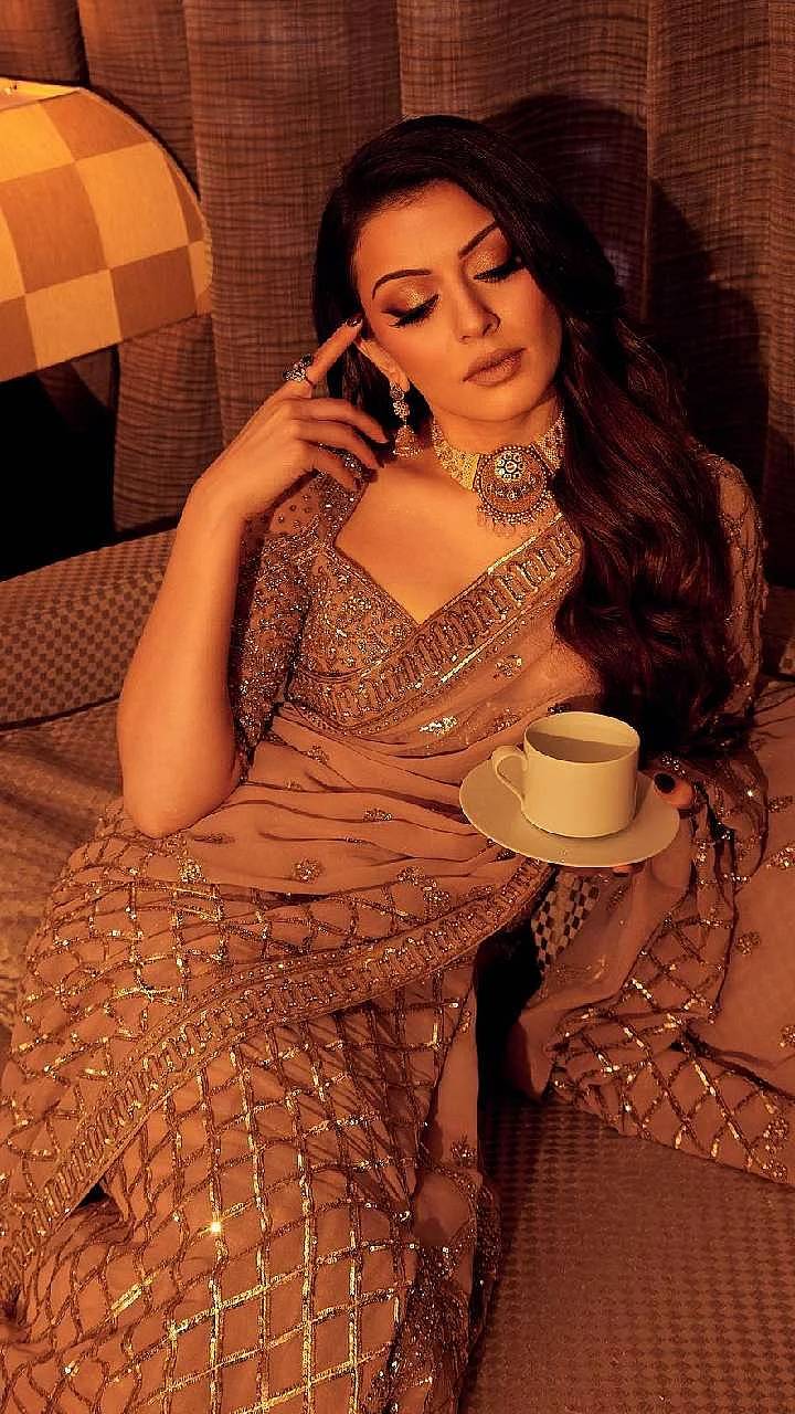 hansika motwani blouse design 1710229500