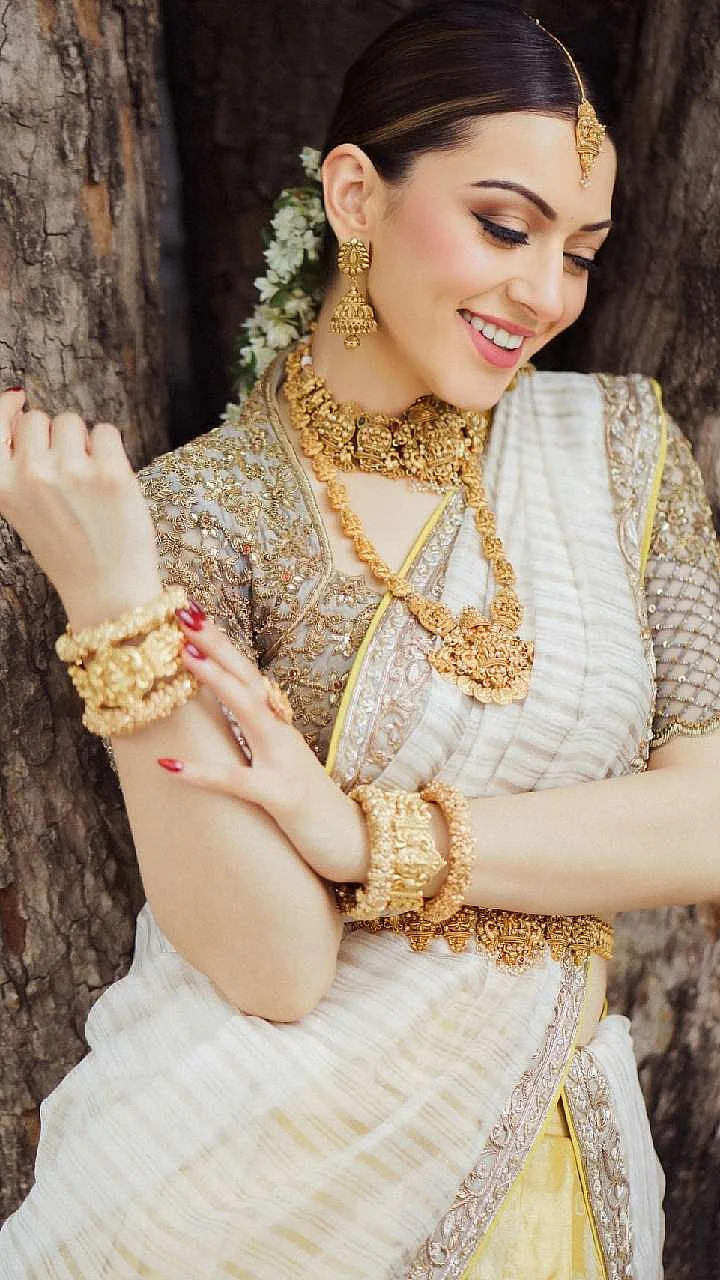 hansika motwani 1718875929