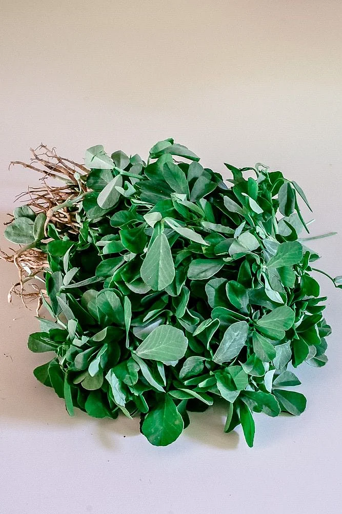 Fenugreek Leaves Indian Methi Patta Recipes Spice Up The Curry