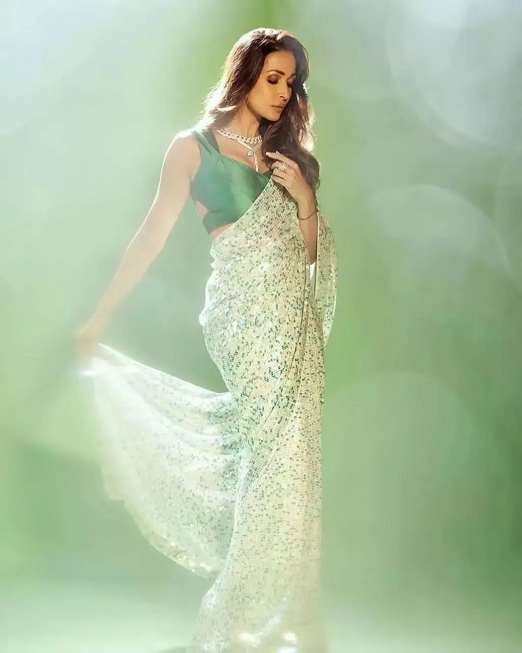 Malaika Arora dazzles like the diva she is in a sequin saree malaikaarora malaikaaroraofficial