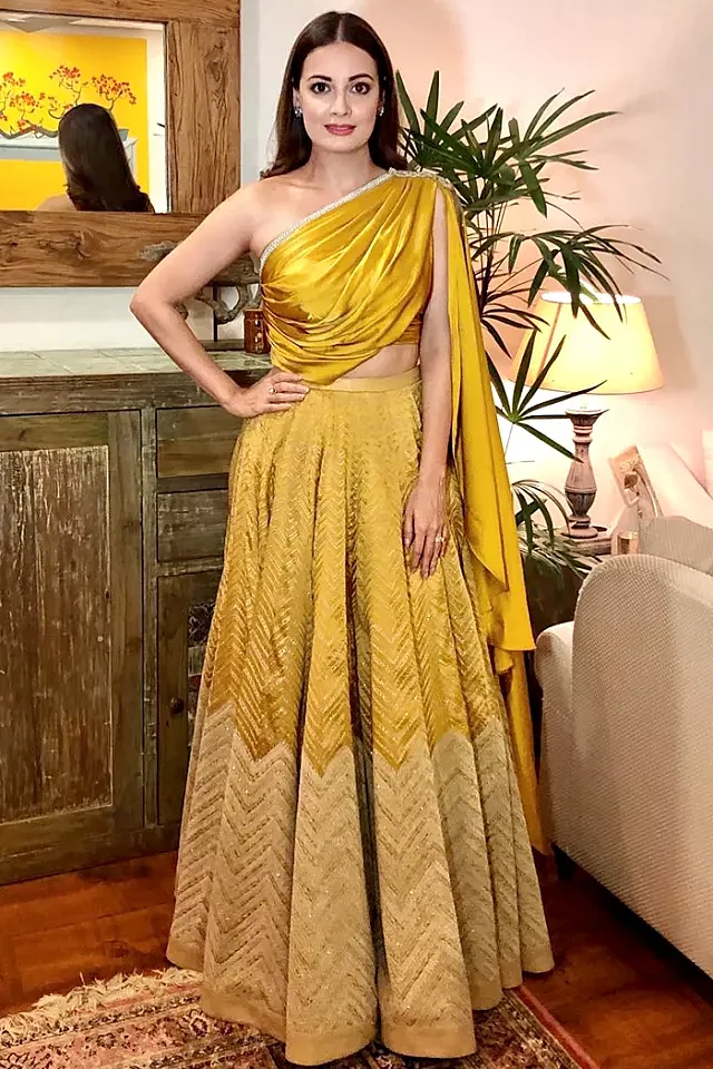 dia mirza 1