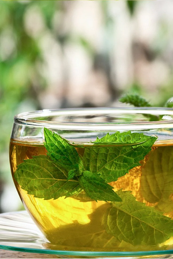 Recipe Peppermint Tea