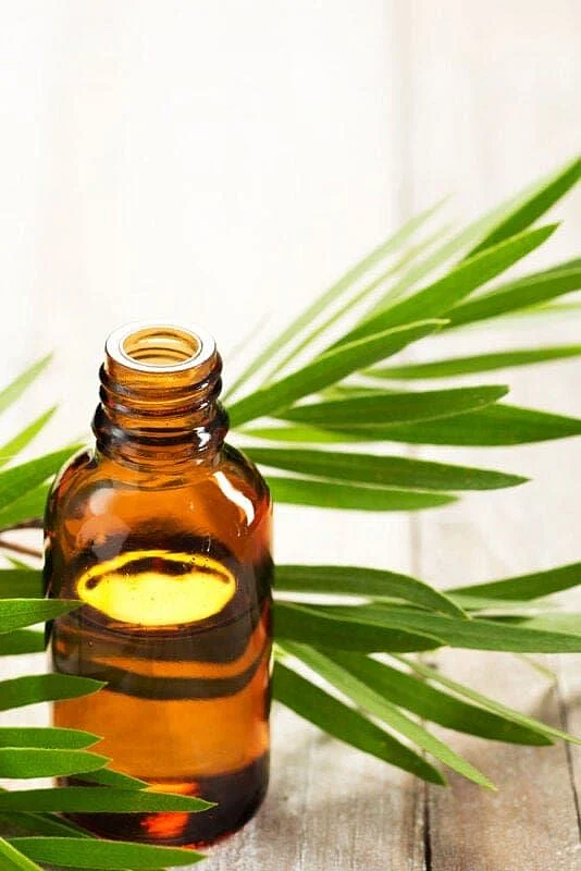 Tea tree oil