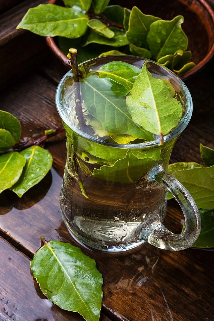Bay leaf water. 7