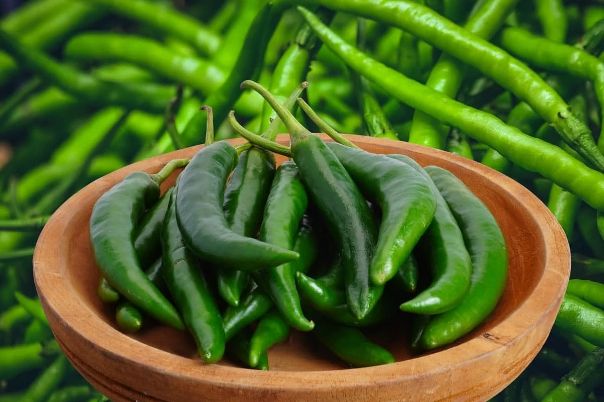 green chili health benefits 2025 04 ce4fd6d7d9cf629e67aa6fd72672b376