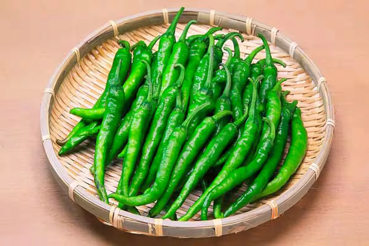 green chilli