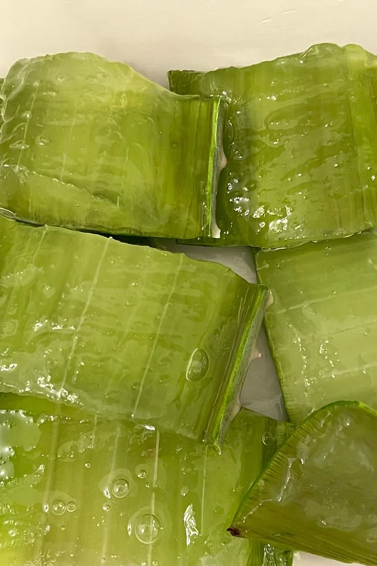 aloe vera. 6