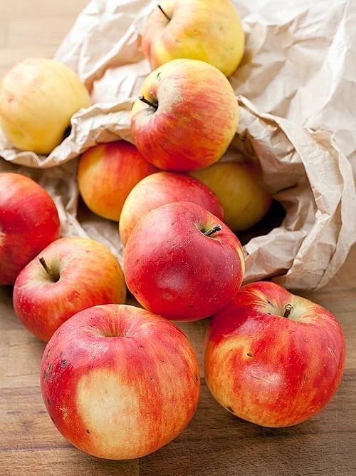 Apple 9