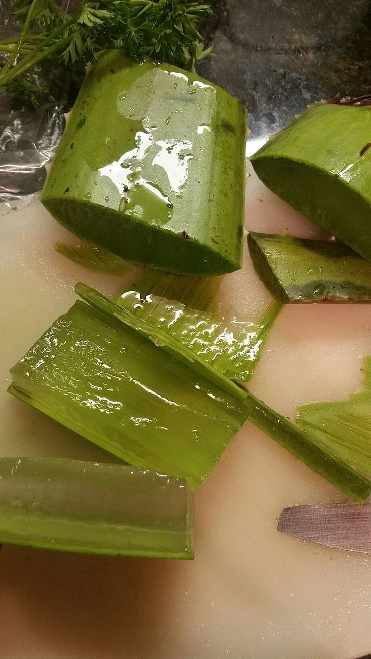 aloe vera. 4