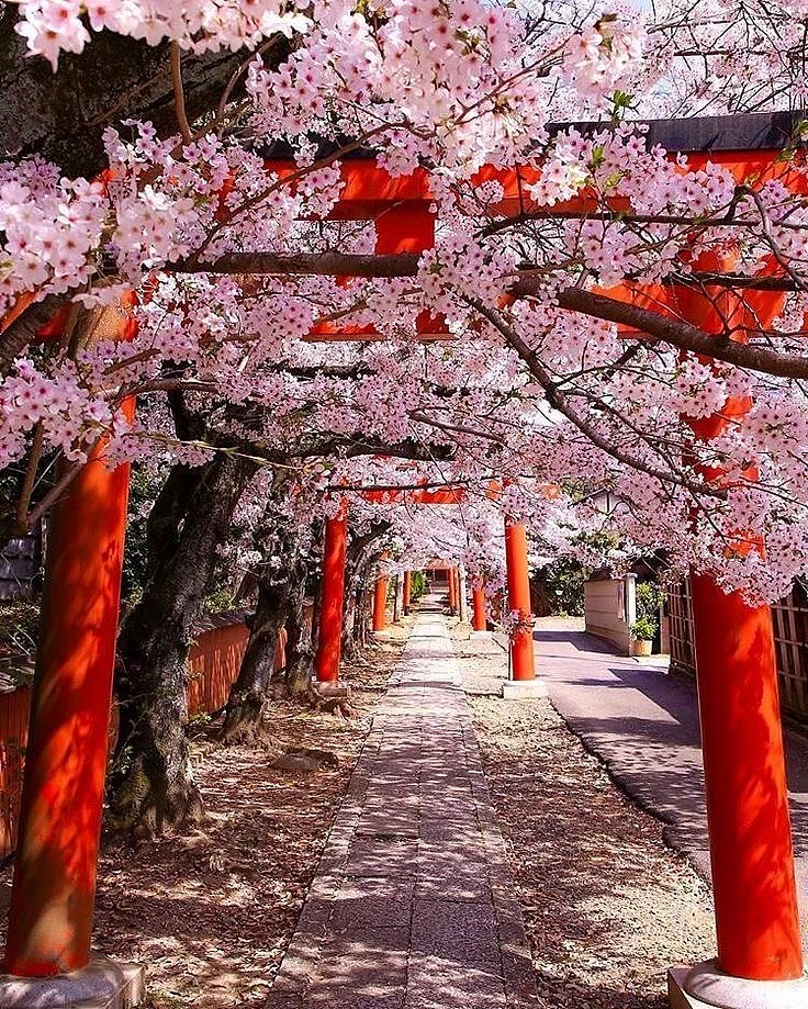 Kyoto Japan