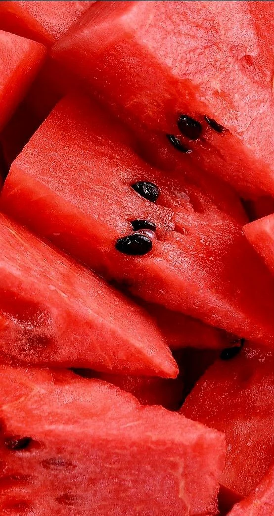 melon seeds. 6