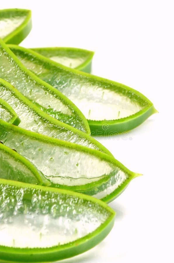 aloe vera. 8