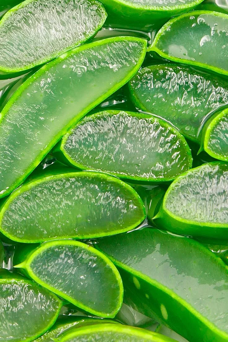 aloe vera. 7