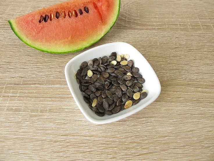 melon seeds. 2