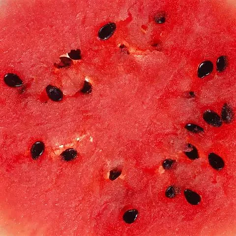 melon seeds. 5