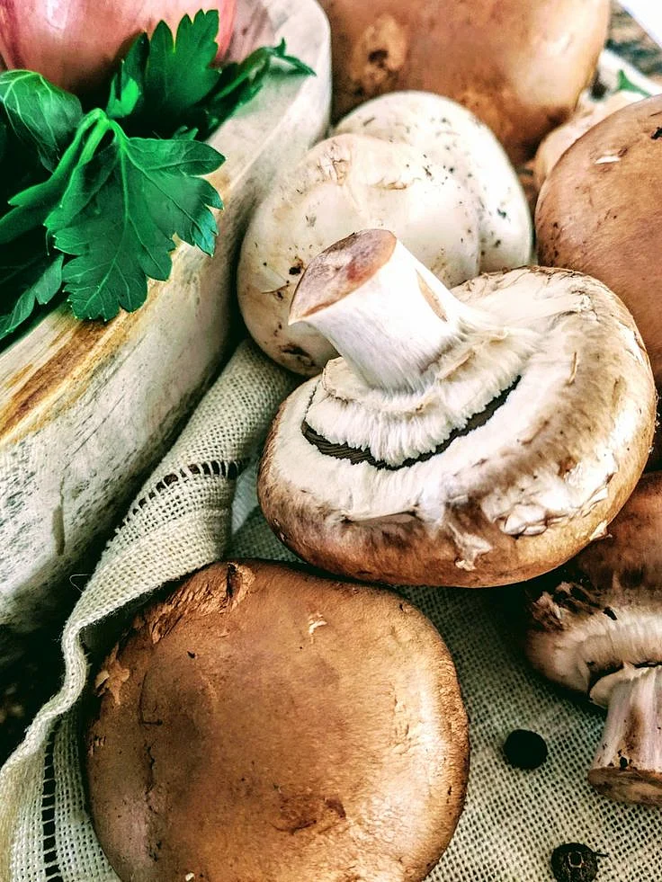 Mushroom 8