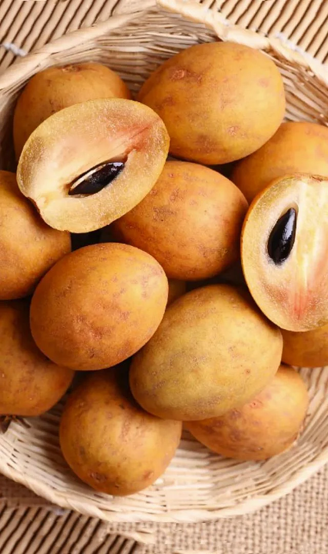 Chikoo