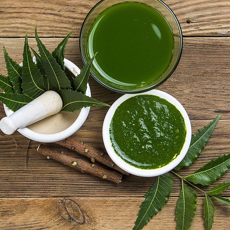 neem leaves