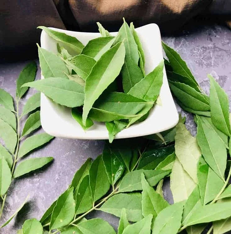 neem leaves 9