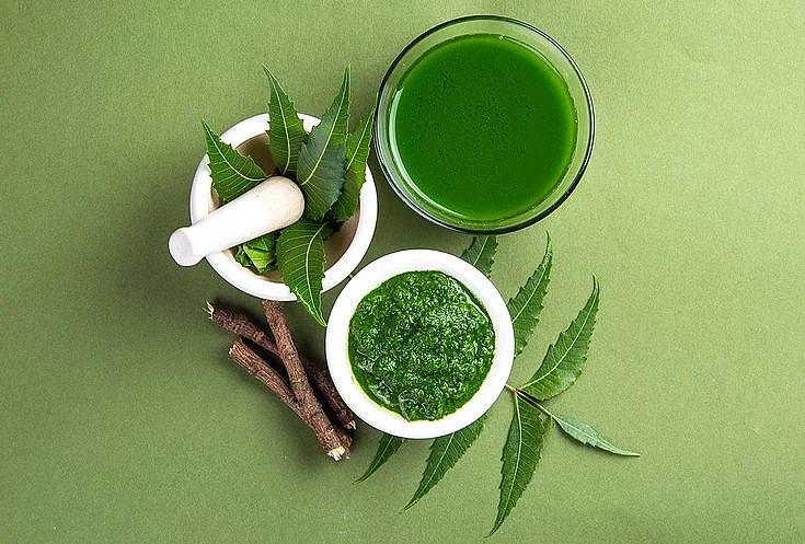neem leaves 6