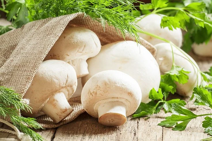 Mushroom 7