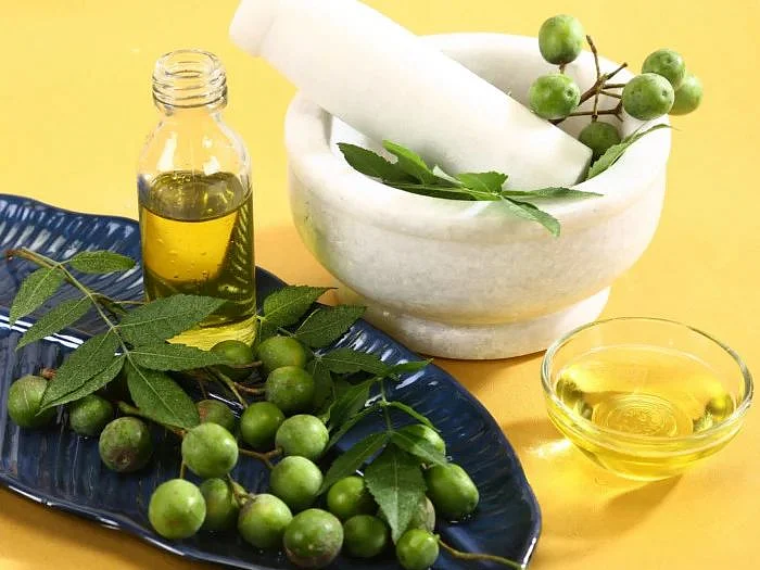 neem leaves 7