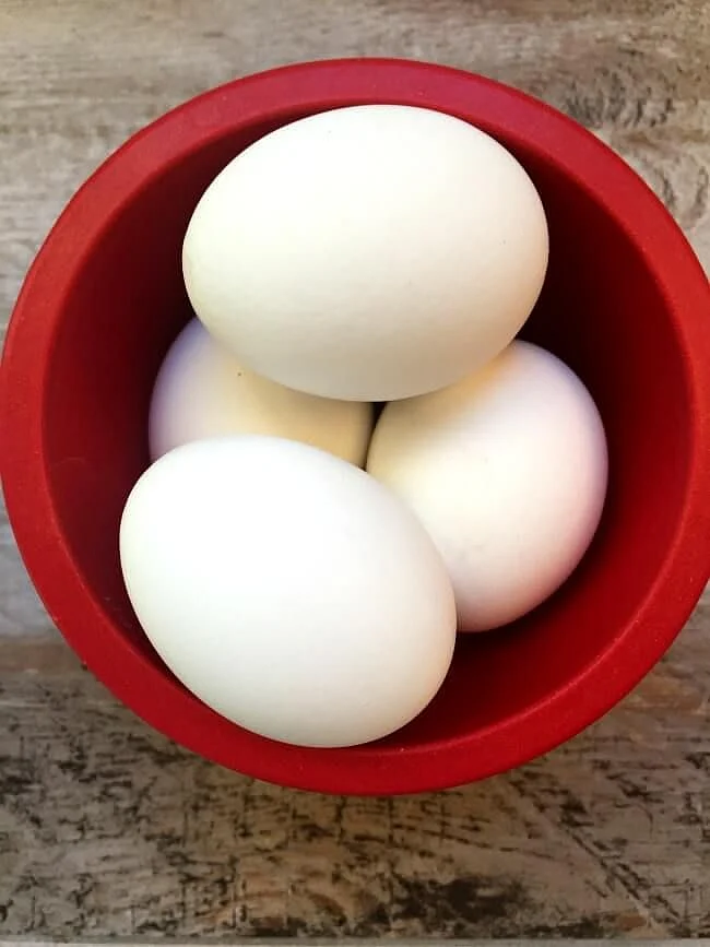 Eggs