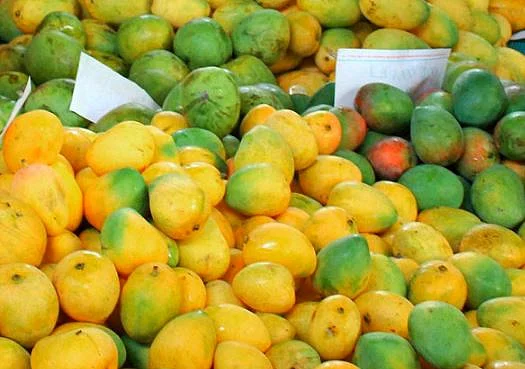 MANGO