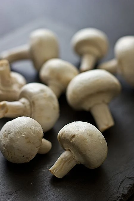 Mushroom 9
