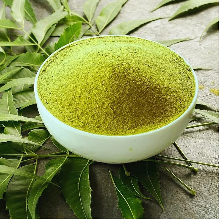 neem leaves 4