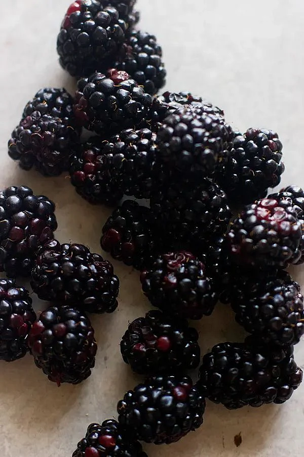 Mulberry. 7